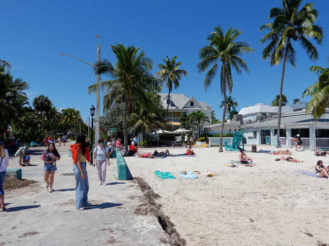 MIA_2024-03-24 14-44-36_RX_09666